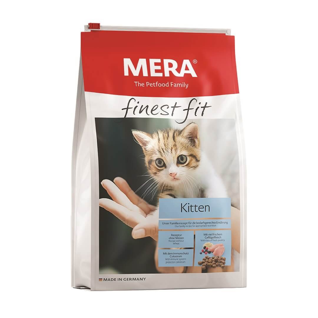 RESIZE3-01 MERA finest fit Kitten - Image 1