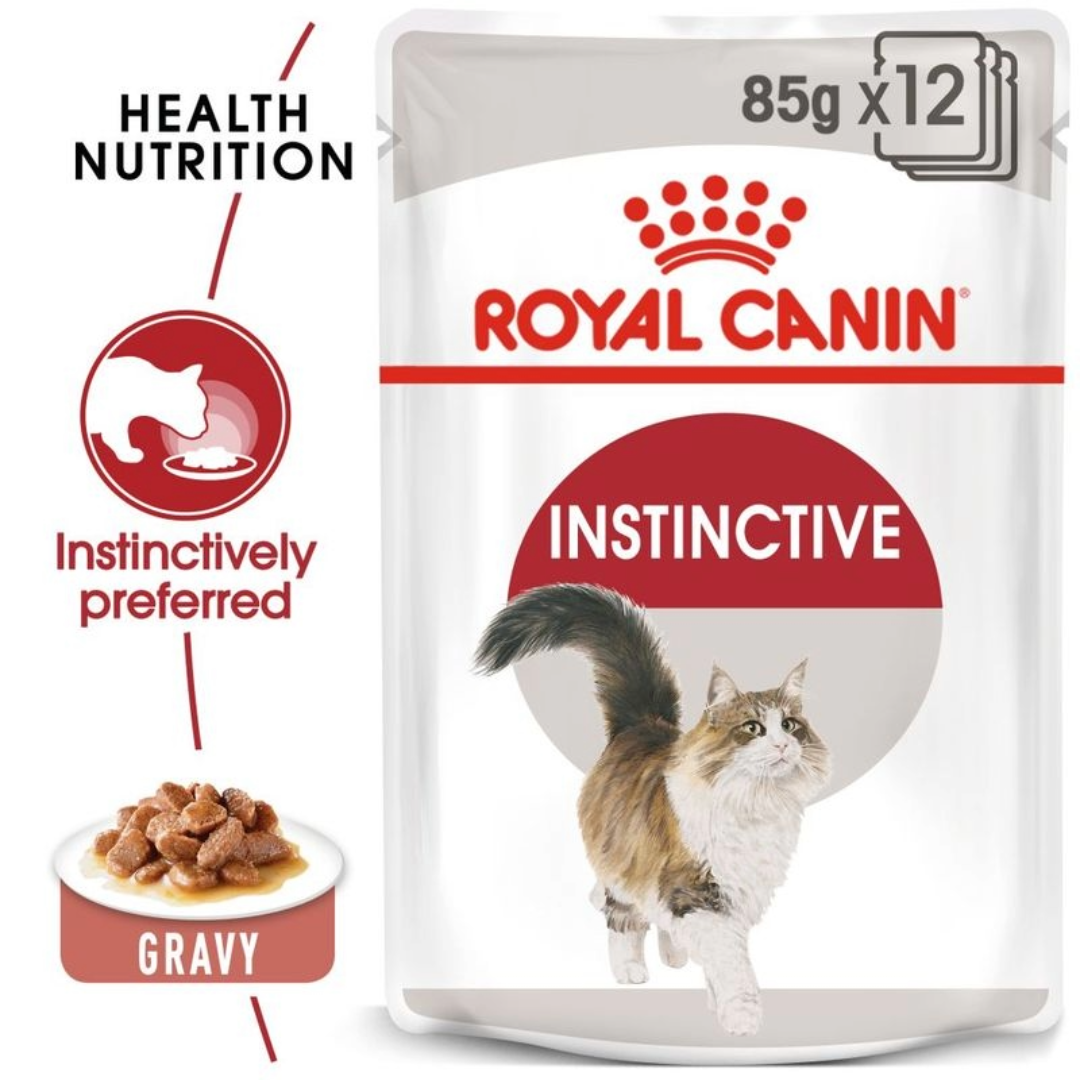 Untitled - 2025-09-11T095459.785 Royal Canin Jelly Instinctive - Image 1