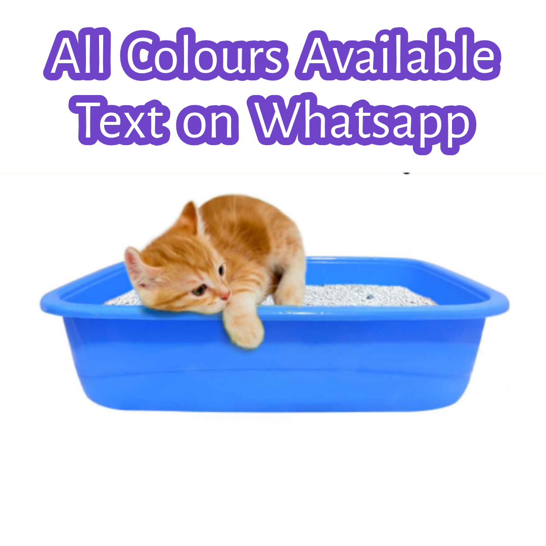 Untitled - 2025-09-16T020243.162 Petswala Litter Tray for Kitten - Image 1