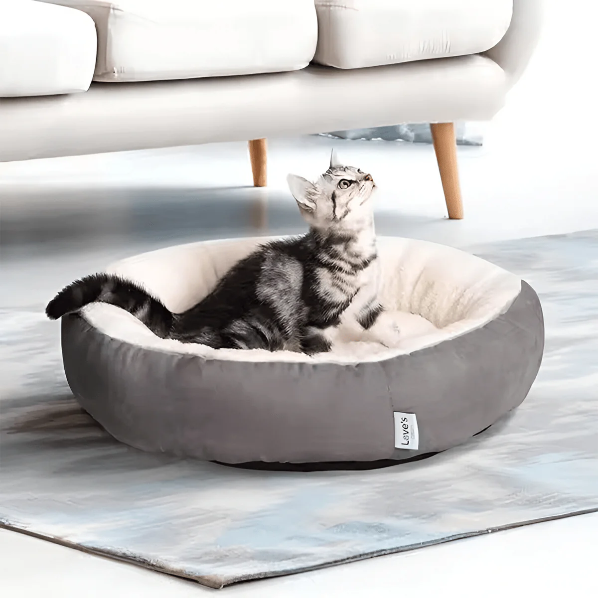 Round-Cushion-Cat-Puppy-Bed-with-PlayBall-pets-par-0 Premium Quality Cat Bed - Image 1