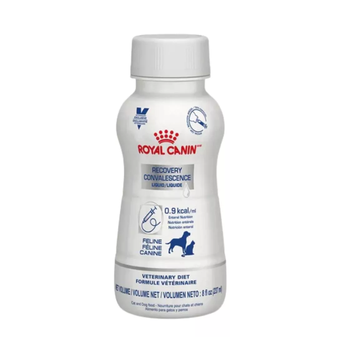 Royal-Canin-Veterinary-Recovery-Liquid-For-Dogs-And-Cats-200-ML Royal Canin Veterinary Recovery Liquid for Cats and Dogs | 200ml - Image 1